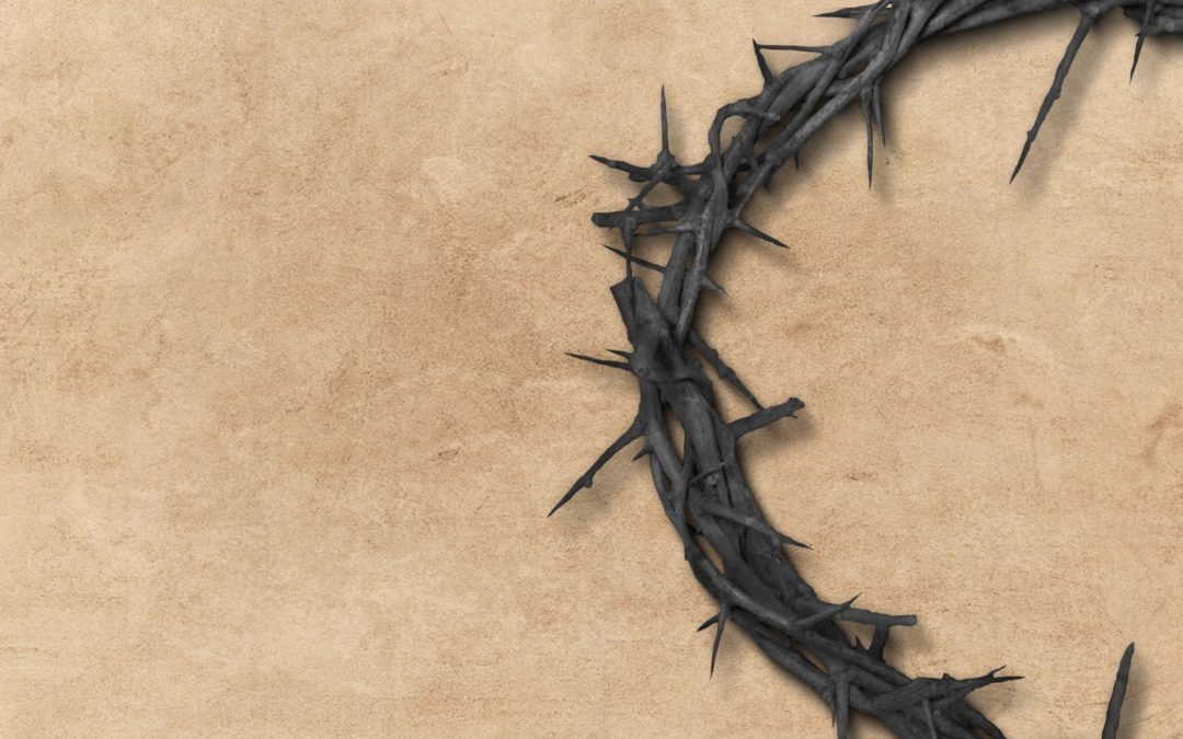 black crown of thorns against a light brown background